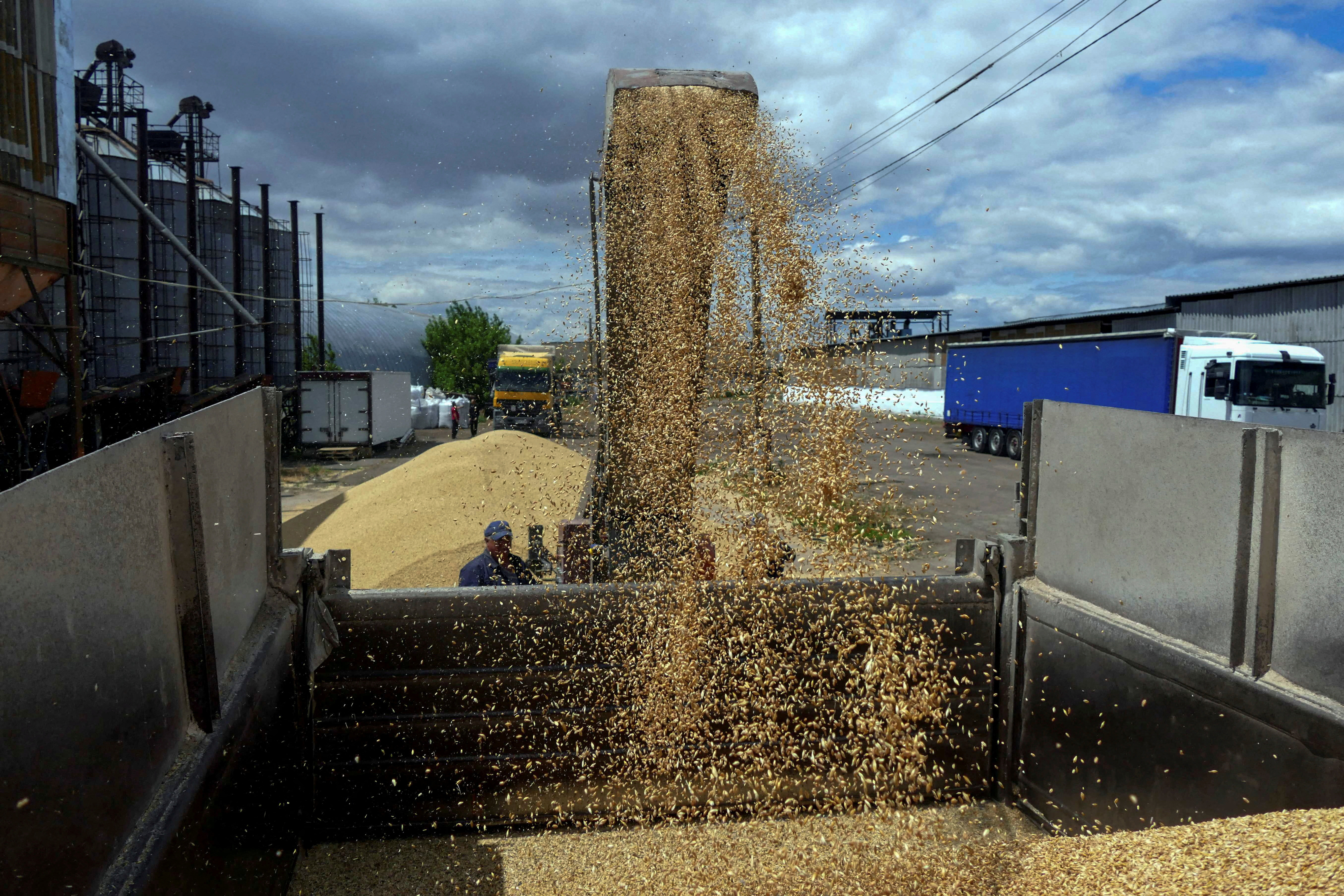 Un trabajador carga un camión con grano en una estación durante la cosecha de cebada en la región de Odessa.