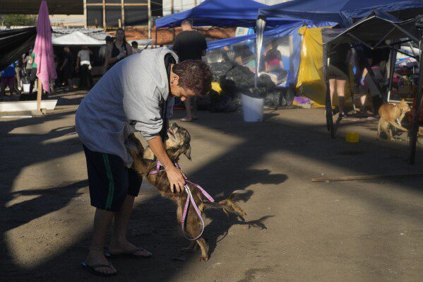 Un hombre y su perro se reúnen en un refugio que brinda refugio a perros evacuados de áreas inundadas por fuertes lluvias, en Canoas, estado de Rio Grande do Sul, Brasil, el jueves 9 de mayo de 2024. (Foto AP/Andre Penner)