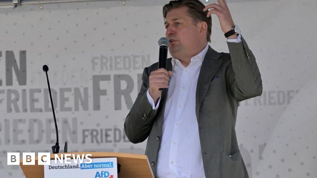 El partido de extrema derecha Alternativa para Alemania (AfD) está en crisis tras las declaraciones nazis